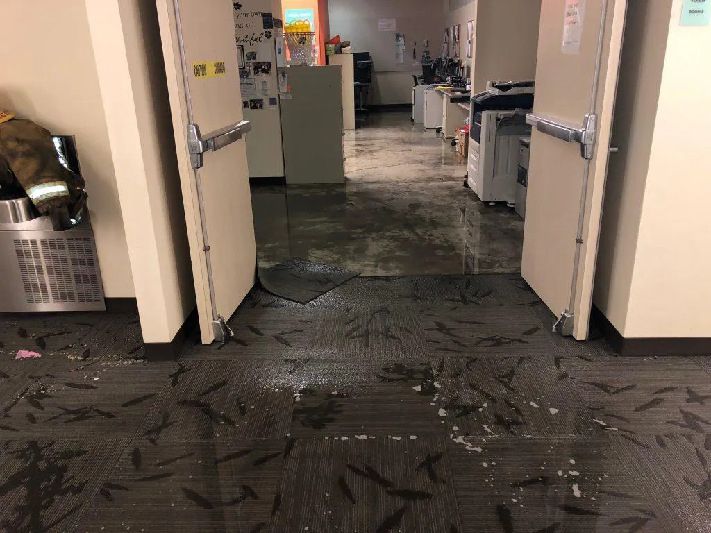 Flooded commercial office corridor with saturated carpet tiles after a water damage event