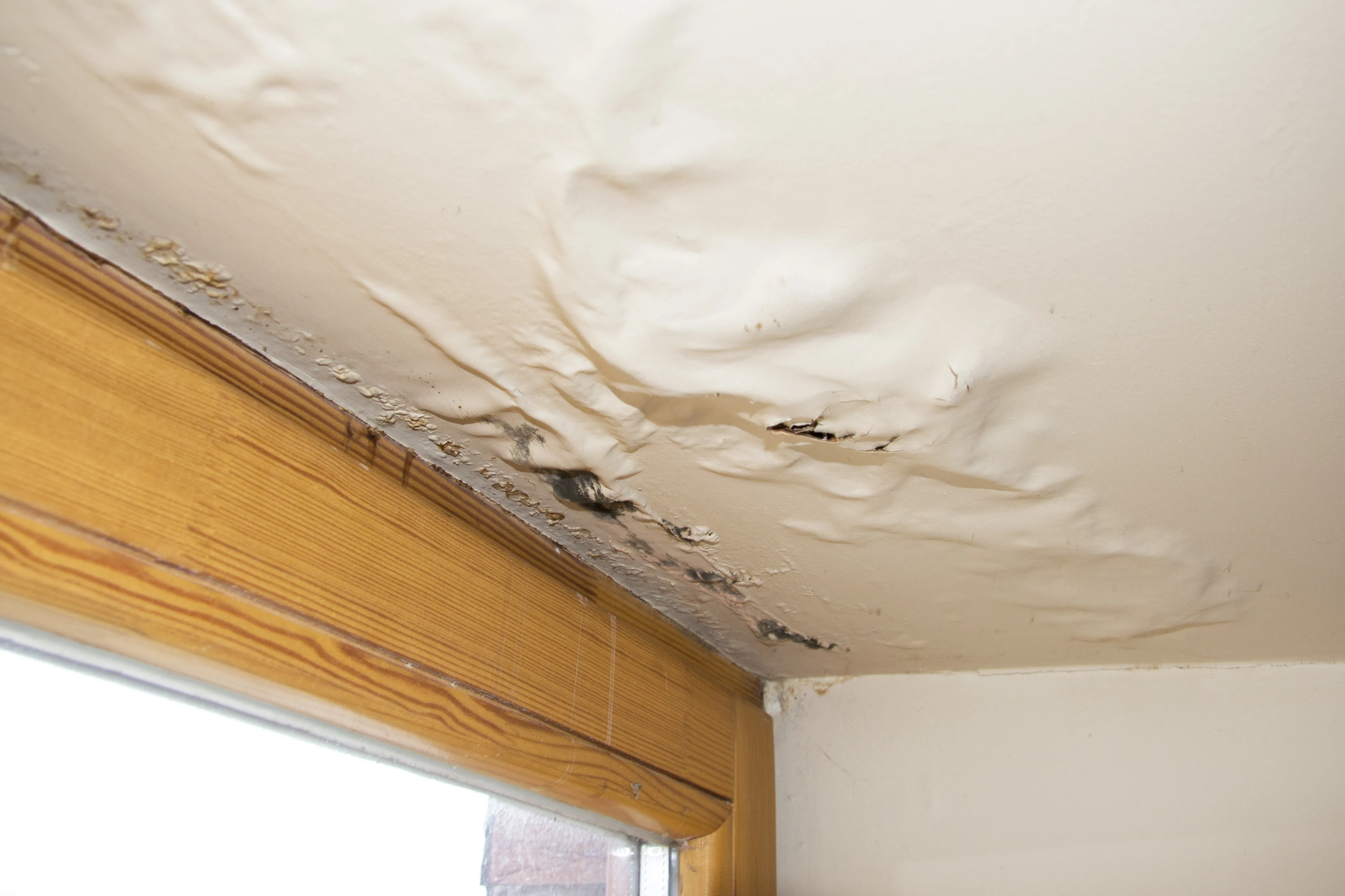 Water-stained ceiling corner with bubbling paint from a roof leak in a Tampa home